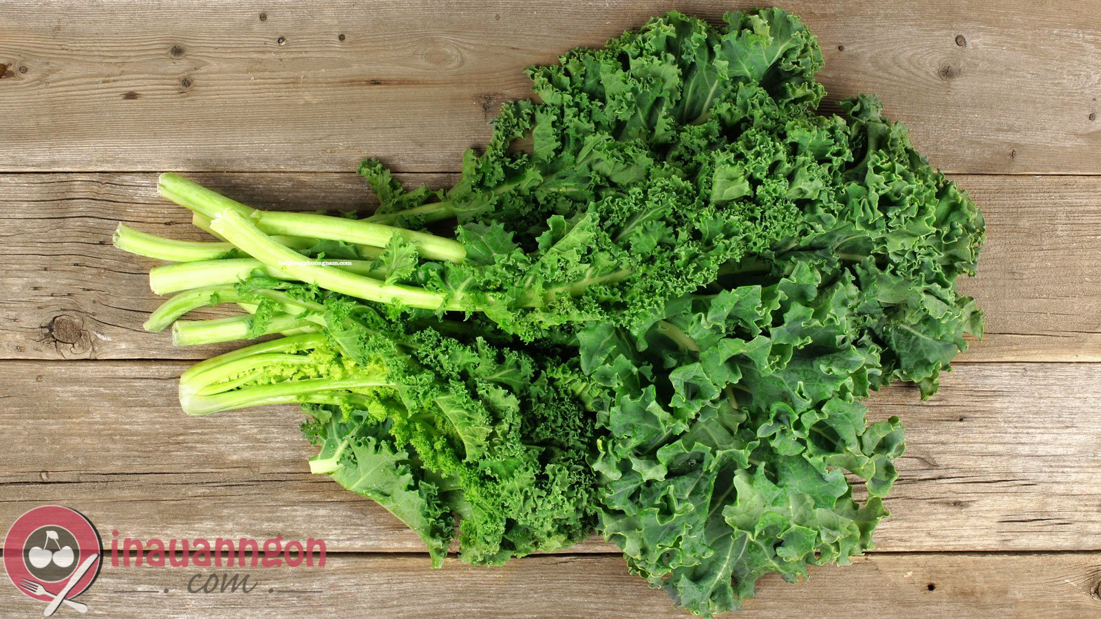 Chọn cải kale tươi, màu xanh lá đậm, cuộn tròn, xoắn tít