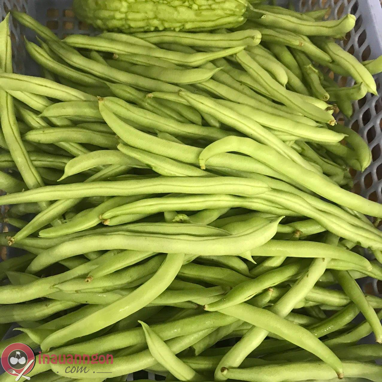 Chọn đậu que còn non với phần cuống xanh, không có đốm đen